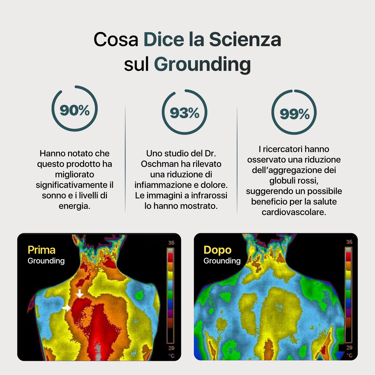 Sábana de grounding Nítida